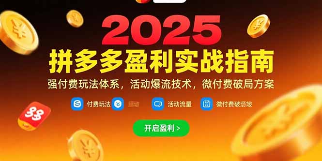 拼多多盈利实战指南，强付费玩法，活动爆流技术，微付费破局方案(更新7月-彼飞网创
