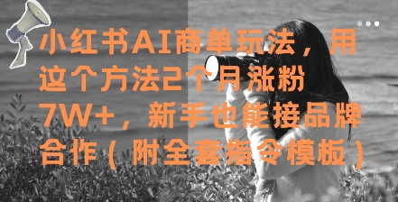 小红书AI商单玩法，用这个方法2个月涨粉7W+，新手也能接品牌合作(附全套指令模板)-彼飞网创