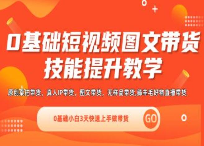 0基础短视频图文带货实操技能提升教学(直播课+视频课),0基础小白3天快速上手做带货-彼飞网创