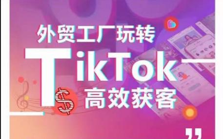 外贸工厂玩转TikTok高效获客，多种引流方式与账号定位技巧，拆解爆款短视频打造成功案例-彼飞网创
