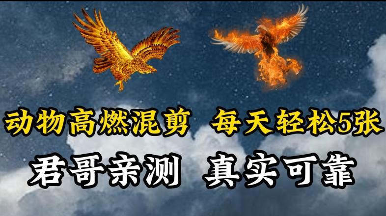 动物超燃混剪，每天轻松5张，剪辑简单大家爱看【揭秘】-彼飞网创