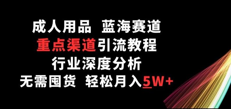 成人用品，蓝海赛道，重点渠道引流教程，行业深度分析，无需囤货，轻松月入5W+【揭秘】-彼飞网创