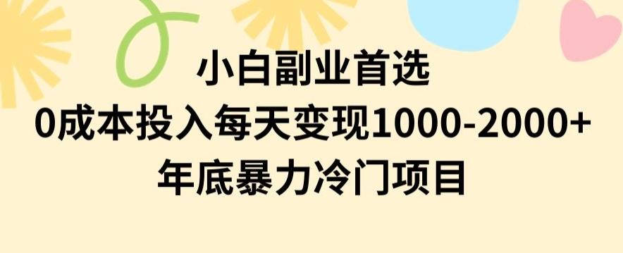 小白副业首选，0成本投入，每天变现1000-2000年底暴力冷门项目【揭秘】-彼飞网创