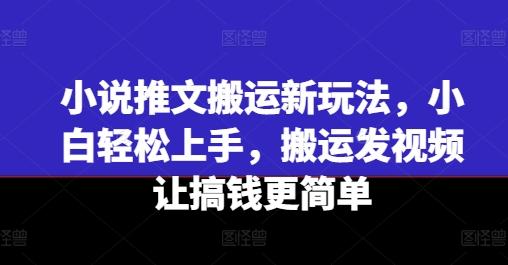 小说推文搬运新玩法，小白轻松上手，搬运发视频让搞钱更简单-彼飞网创