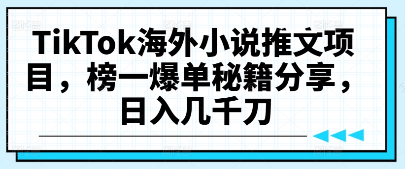 TikTok海外小说推文项目，榜一爆单秘籍分享，日入几千刀-彼飞网创