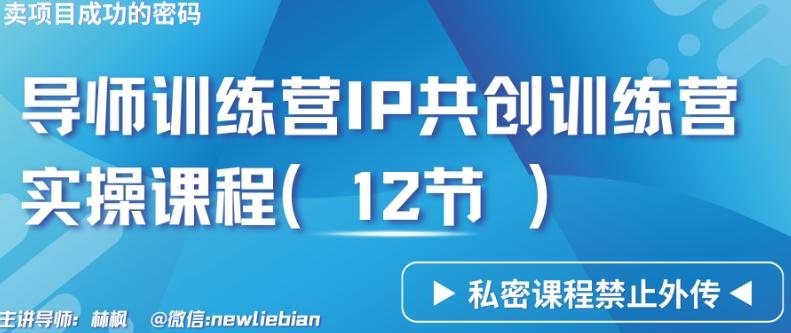 导师训练营3.0IP共创训练营私密实操课程(12节)-卖项目的密码成功秘诀【揭秘】-彼飞网创