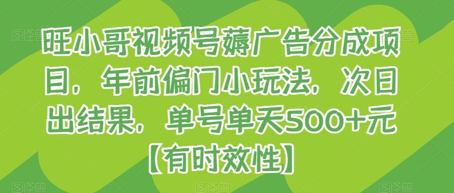 旺小哥视频号薅广告分成项目，年前偏门小玩法，次日出结果，单号单天500+元【有时效性】-彼飞网创