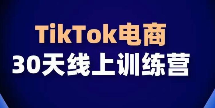 TikTok电商带货30天线上课，不可错过的全球流量洼地！-彼飞网创
