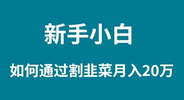 (9308期)新手小白如何通过割韭菜月入 20W-彼飞网创