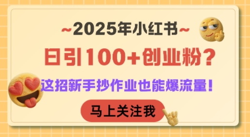 2025年小红书日引100+创业粉？这招新手抄作业也能爆流量！-彼飞网创