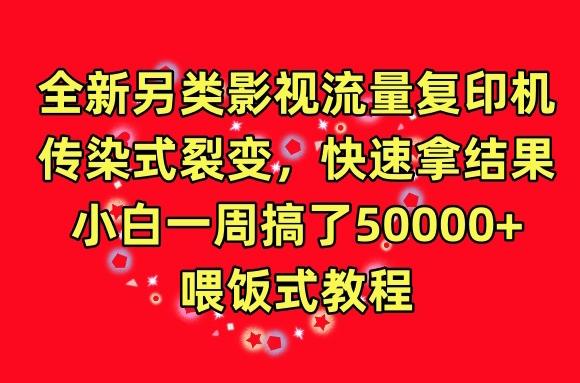 全新另类影视流量复印机，传染式裂变，快速拿结果，小白一周搞了50000+，喂饭式教程【揭秘】-彼飞网创
