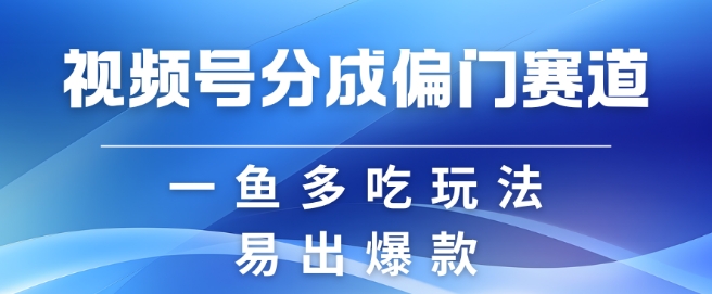 视频号创作者分成计划偏门类目，容易爆流，实拍内容简单易做【揭秘】-彼飞网创