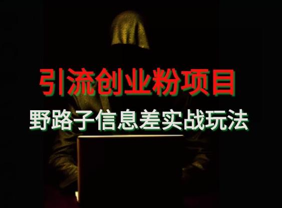 【引流创业粉】野路子信息差玩法实战教学-彼飞网创