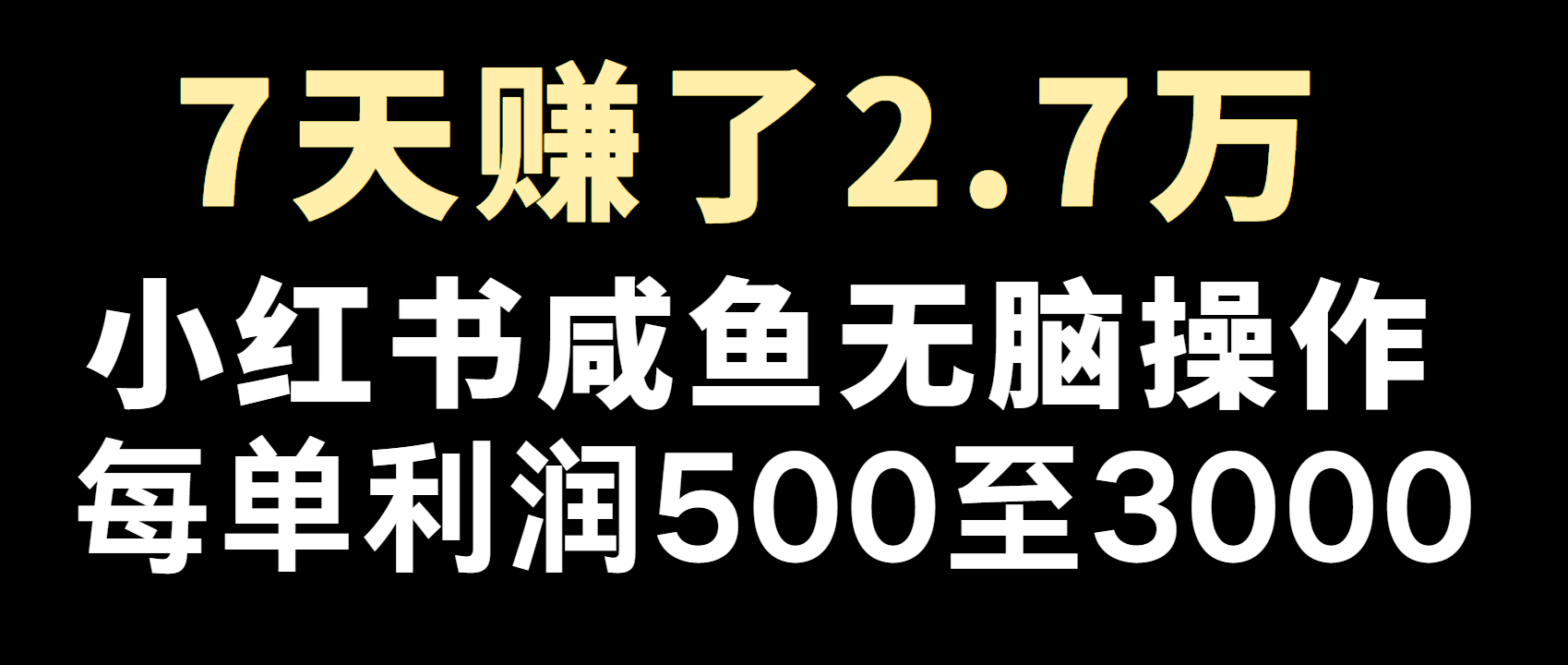 全网首发，7天赚了2.6万，2025利润超级高！-彼飞网创