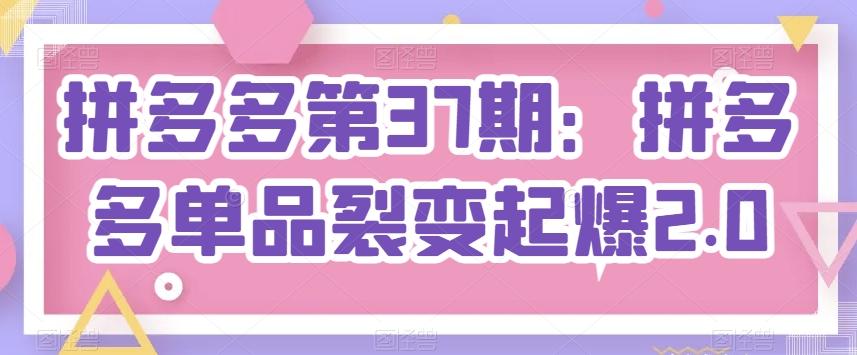 拼多多第37期：拼多多单品裂变起爆2.0-彼飞网创