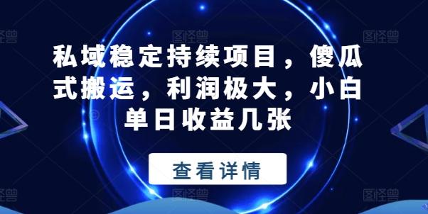 私域稳定持续项目，傻瓜式搬运，利润极大，小白单日收益几张【揭秘】-彼飞网创