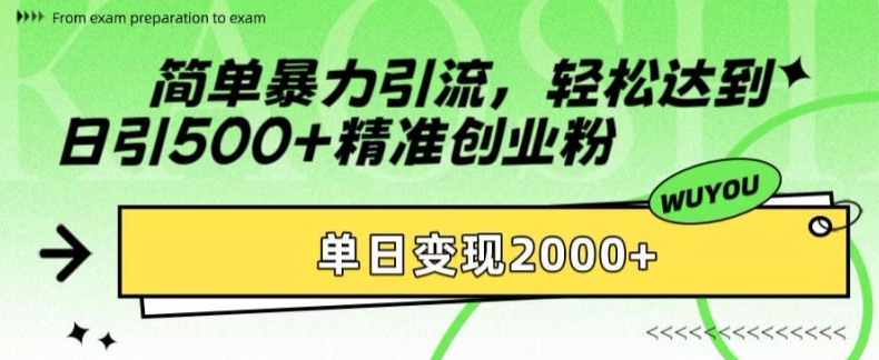 简单暴力引流，轻松达到日引500+精准创业粉，单日变现2k【揭秘】-彼飞网创