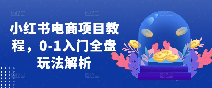 小红书电商项目教程，0-1入门全盘玩法解析-彼飞网创