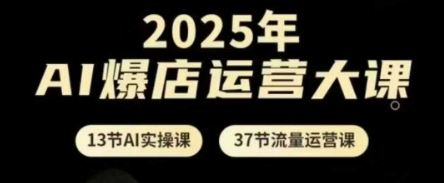 2025年AI爆店运营大课，13节AI实操课+37节流量运营课-彼飞网创