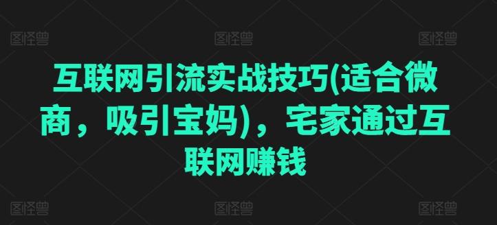 互联网引流实战技巧(适合微商，吸引宝妈)，宅家通过互联网赚钱-彼飞网创