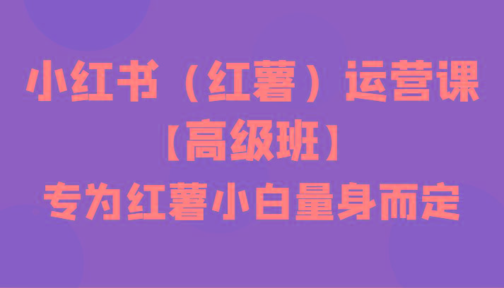 小红书(红薯)运营课【高级班】，专为红薯小白量身而定(42节课)-彼飞网创