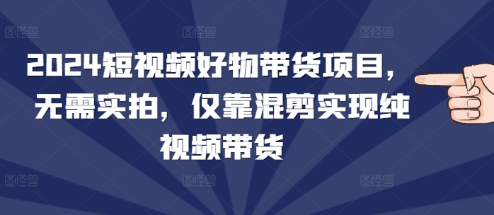 2024短视频好物带货项目，无需实拍，仅靠混剪实现纯视频带货-彼飞网创