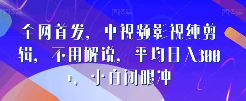 全网首发，中视频影视纯剪辑，不用解说，平均日入300+，小白闭眼冲-彼飞网创