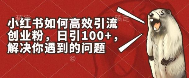 小红书如何高效引流创业粉，日引100+，解决你遇到的问题【揭秘】-彼飞网创