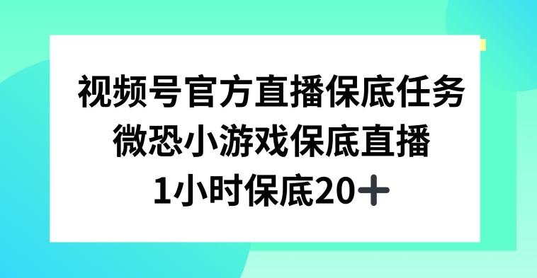 视频号直播任务，微恐小游戏，1小时20+【揭秘】-彼飞网创