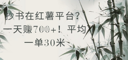 抄书在小红薯平台？平均一单30米，一天收益几张！-彼飞网创