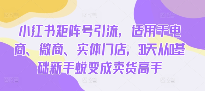 小红书矩阵号引流，适用于电商、微商、实体门店，30天从0基础新手蜕变成卖货高手-彼飞网创