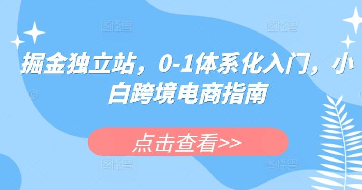 掘金独立站，0-1体系化入门，小白跨境电商指南-彼飞网创