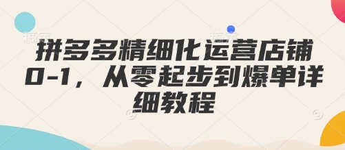 拼多多精细化运营店铺0-1，从零起步到爆单详细教程-彼飞网创