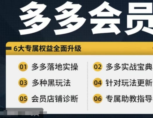 拼多多会员，拼多多实战宝典+实战落地实操，从新手到高阶内容全面覆盖-彼飞网创