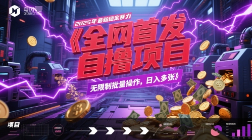全网首发，2025年最新稳定暴力全自动自撸项目，无限制批量操作，日入多张【揭秘】-彼飞网创