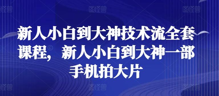 新人小白到大神技术流全套课程，新人小白到大神一部手机拍大片-彼飞网创