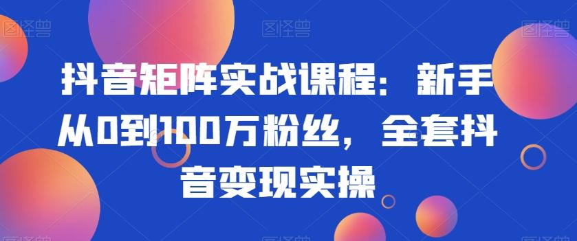 抖音矩阵实战课程：新手从0到100万粉丝，全套抖音变现实操-彼飞网创