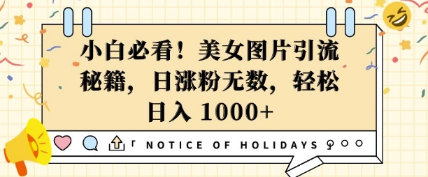 小白必看，美女图片引流秘籍，日涨粉无数，轻松日入几张【揭秘】-彼飞网创