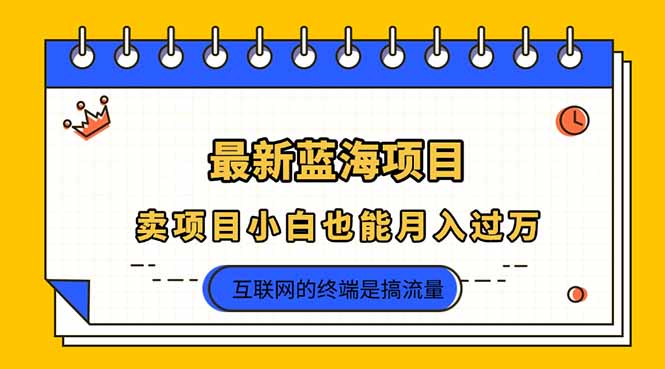 2025年最新蓝海项目，卖项目小白也能月入过万-彼飞网创