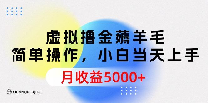 (9864期)虚拟撸金薅羊毛，简单操作，小白当天上手，月收益5000+-彼飞网创