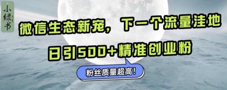 微信生态新宠小绿书：下一个流量洼地，日引500+精准创业粉，粉丝质量超高-彼飞网创