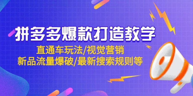 拼多多爆款打造教学：直通车玩法/视觉营销/新品流量爆破/最新搜索规则等-彼飞网创