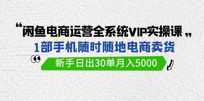(9547期)闲鱼电商运营全系统VIP实战课，1部手机随时随地卖货，新手日出30单月入5000-彼飞网创