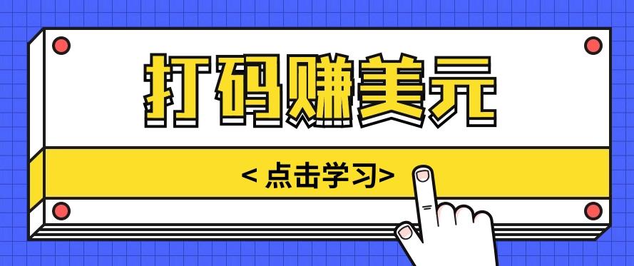 手动输入验证码，每天多投入几个小时，也能轻松获得两三千元的收入-彼飞网创