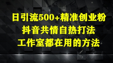 日引流500+精准创业粉，抖音共情自热打法，工作室都在用的方法-彼飞网创