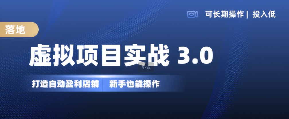虚拟项目实战3.0，打造自动盈利店铺，可长期操作投入低，新手也能操作-彼飞网创