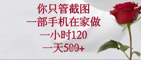 你只管截图，一部手机在家操作，一小时120.一天5张【揭秘】-彼飞网创