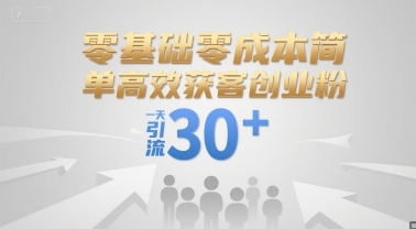 零基础零成本简单高效获客创业粉，一天引流30+-彼飞网创