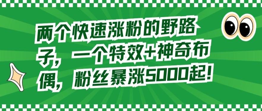 两个快速涨粉的野路子，一个特效+神奇布偶，粉丝暴涨5000起【揭秘】-彼飞网创