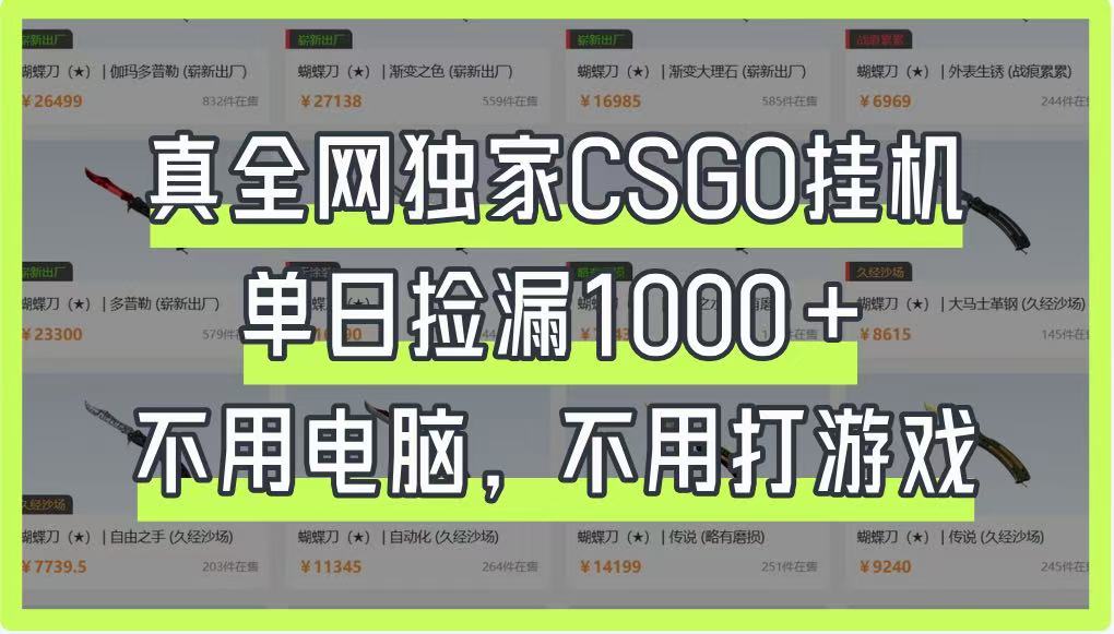 真全网独家CSGO挂机，单日捡漏1000+，不用电脑，不用养号-彼飞网创